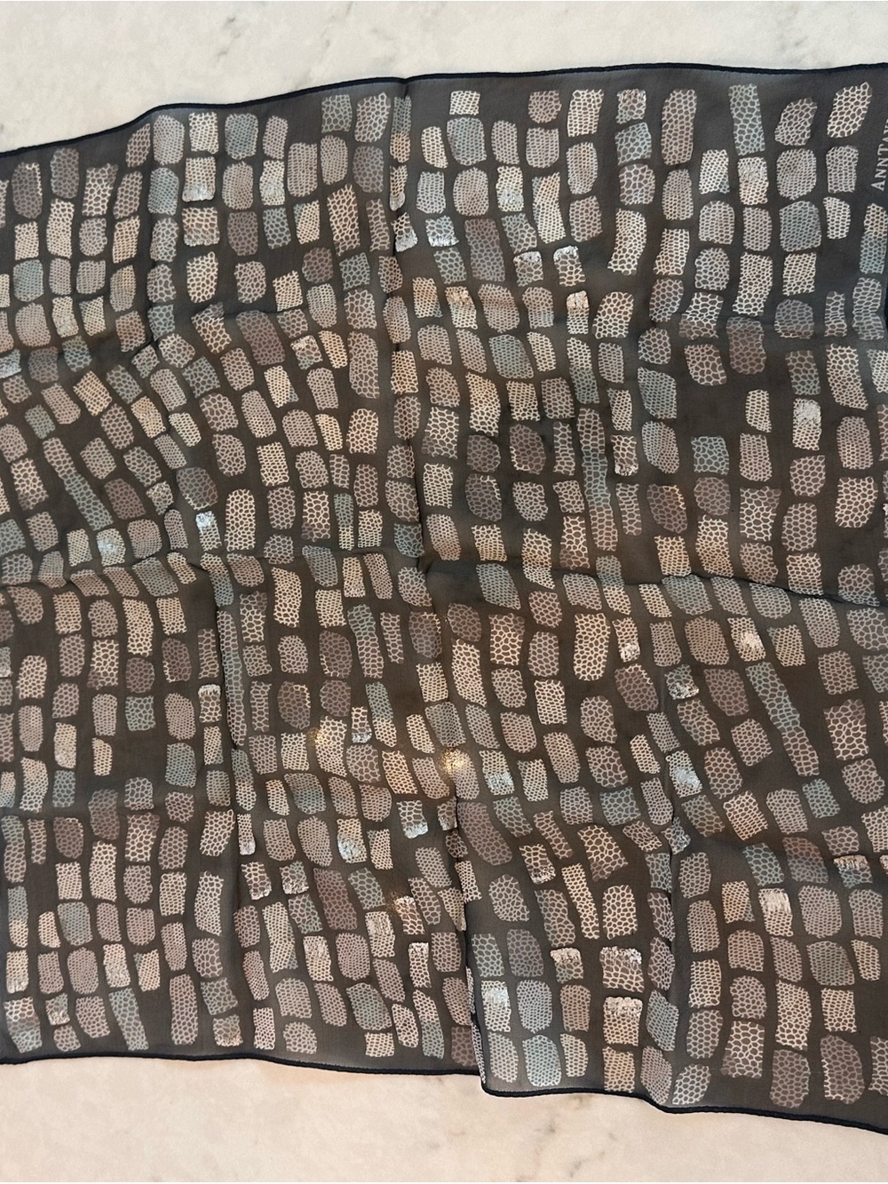 Black Sheer Scarf with Metallic Pebble Motif